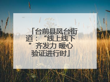 台前县凤台街道：“线上线下”齐发力 暖心验证进行时
